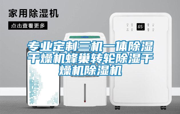專業定制三機一體除濕干燥機蜂巢轉輪除濕干燥機除濕機