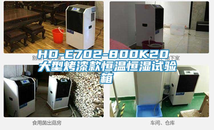 HD-E702-800K20 大型烤漆款恒溫恒濕試驗箱