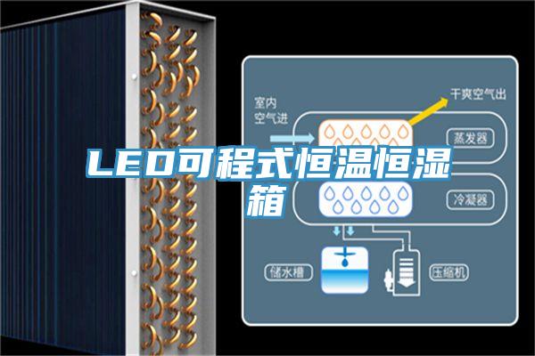 LED可程式恒溫恒濕箱