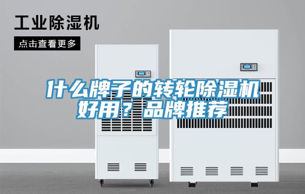 什么牌子的轉(zhuǎn)輪除濕機(jī)好用？品牌推薦