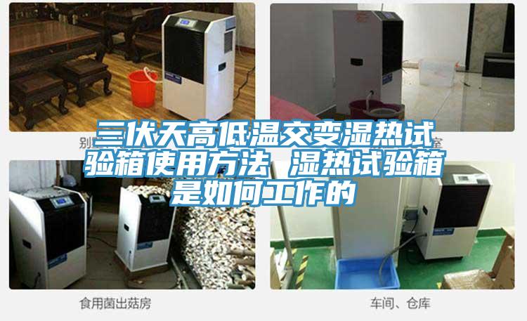 三伏天高低溫交變濕熱試驗(yàn)箱使用方法 濕熱試驗(yàn)箱是如何工作的