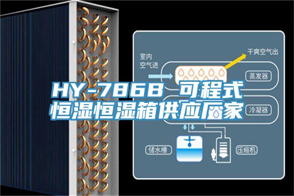 HY-786B 可程式恒濕恒濕箱供應(yīng)廠家