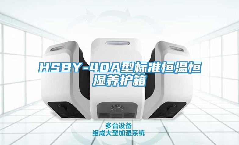 HSBY-40A型標準恒溫恒濕養護箱