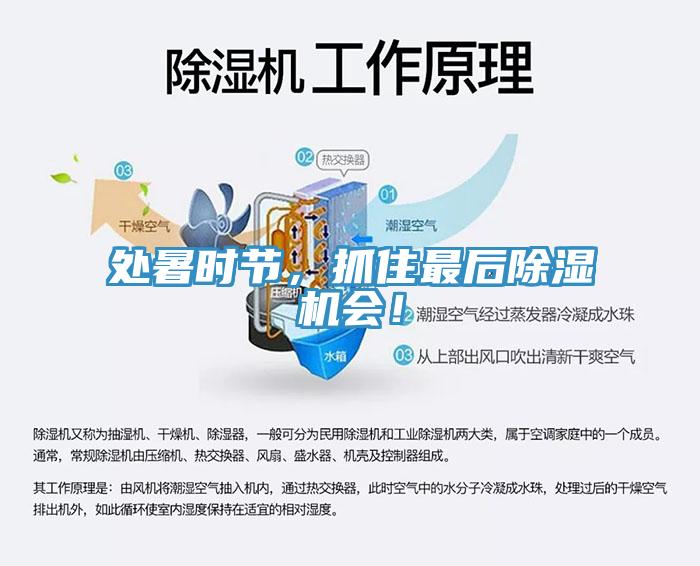 處暑時(shí)節(jié),抓住最后除濕機(jī)會(huì)!