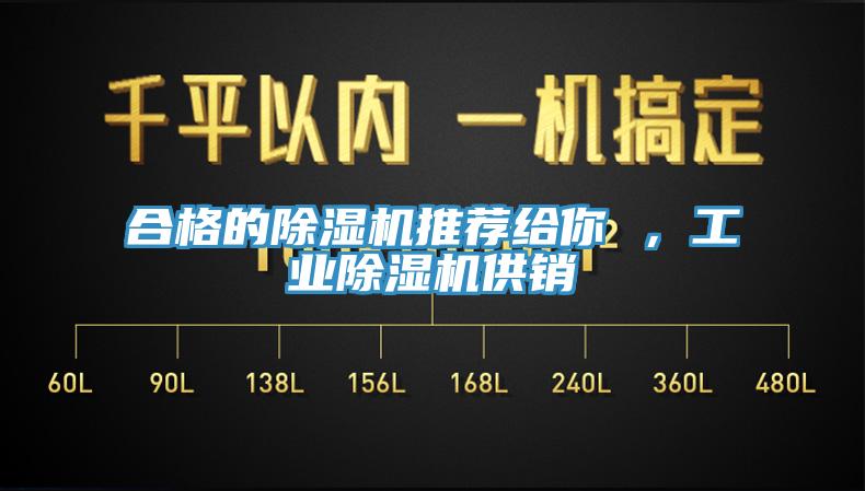 合格的除濕機(jī)推薦給你 ，工業(yè)除濕機(jī)供銷