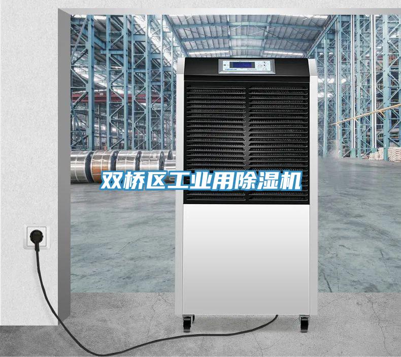 雙橋區工業用除濕機