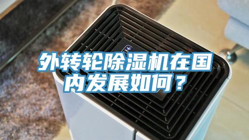 外轉輪除濕機在國內發展如何？