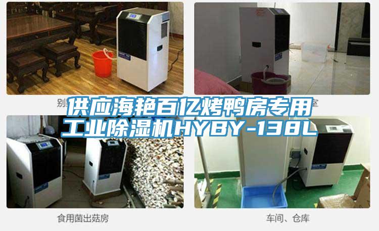 供應(yīng)海艷百億烤鴨房專用工業(yè)除濕機(jī)HYBY-138L
