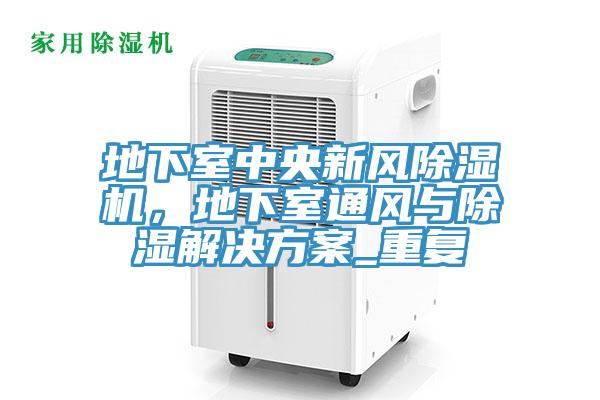 地下室中央新風除濕機，地下室通風與除濕解決方案_重復