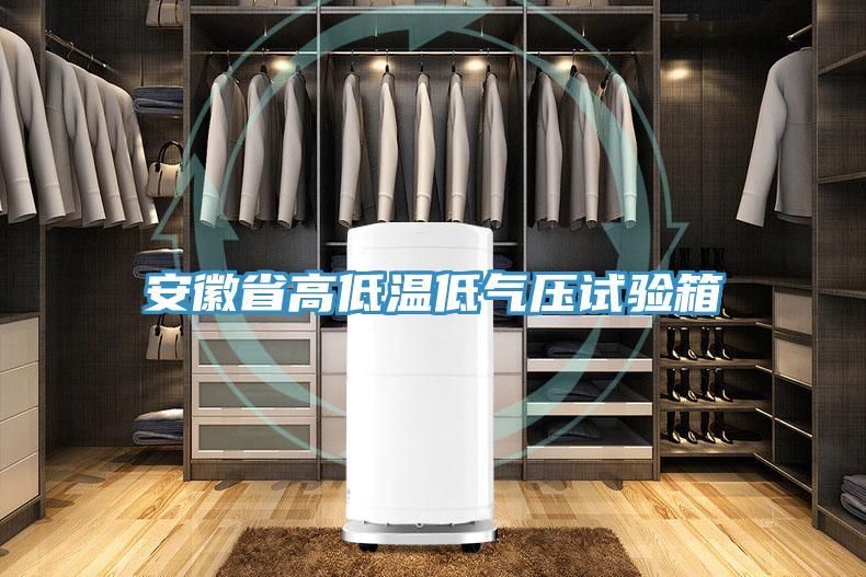 安徽省高低溫低氣壓試驗箱