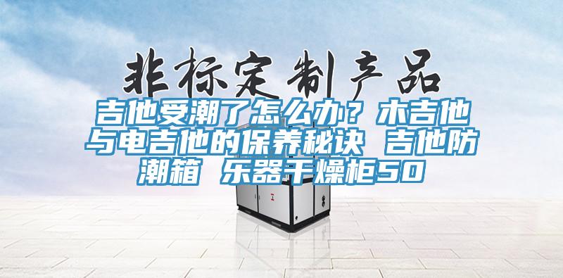 吉他受潮了怎么辦？木吉他與電吉他的保養秘訣 吉他防潮箱 樂器干燥柜50
