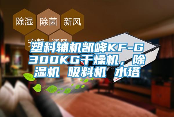 塑料輔機凱峰KF-G300KG干燥機，除濕機 吸料機 水塔