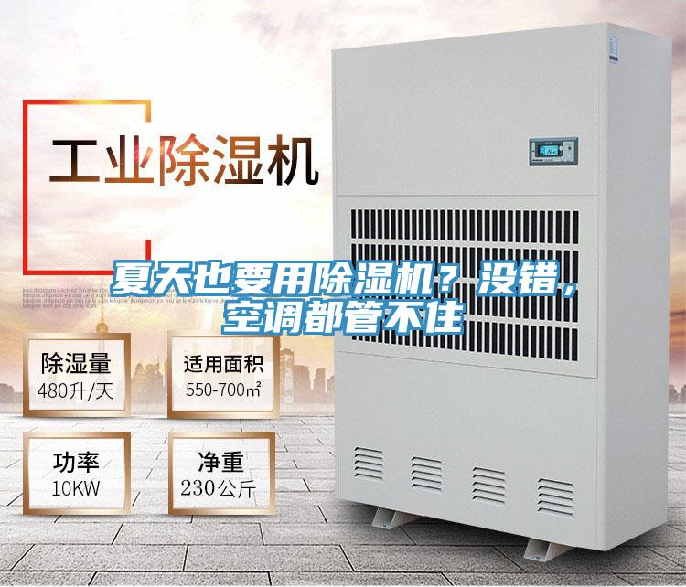 夏天也要用除濕機？沒錯，空調都管不住