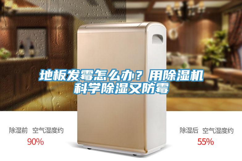 地板發霉怎么辦？用除濕機科學除濕又防霉