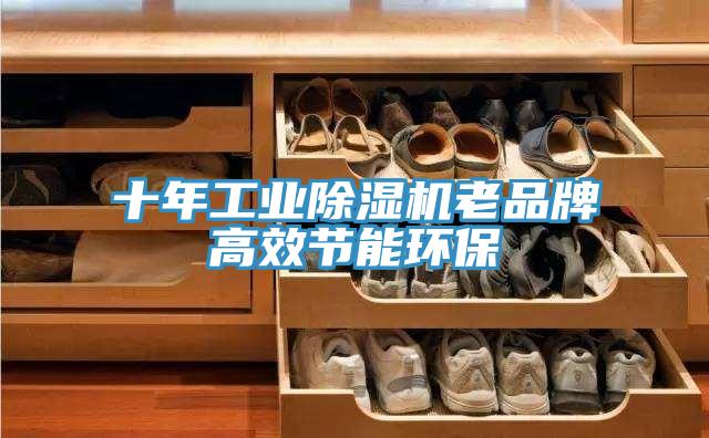 十年工業(yè)除濕機(jī)老品牌高效節(jié)能環(huán)保