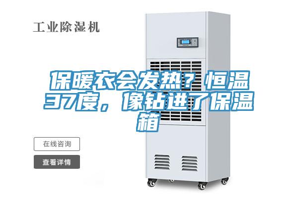 保暖衣會發熱？恒溫37度，像鉆進了保溫箱