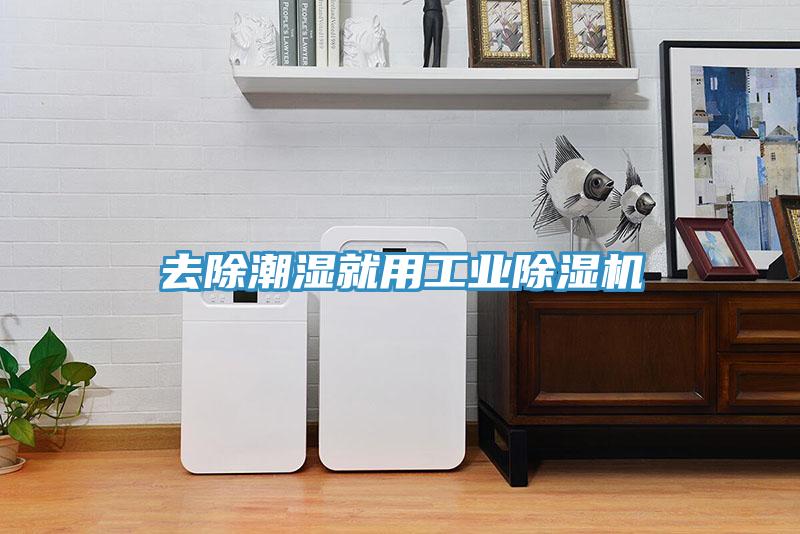 去除潮濕就用工業除濕機
