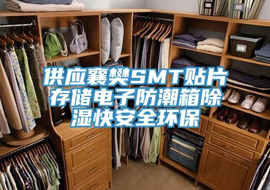 供應襄樊SMT貼片存儲電子防潮箱除濕快安全環保