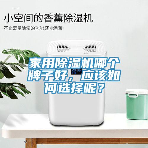 家用除濕機哪個牌子好，應該如何選擇呢？