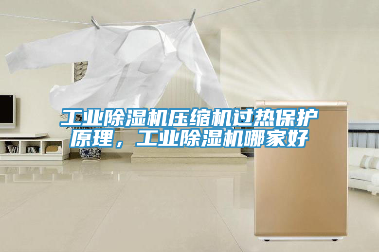 工業(yè)除濕機(jī)壓縮機(jī)過(guò)熱保護(hù)原理，工業(yè)除濕機(jī)哪家好