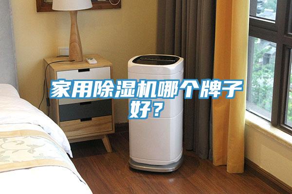 家用除濕機哪個牌子好？