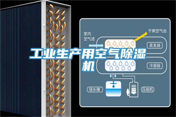 工業(yè)生產(chǎn)用空氣除濕機