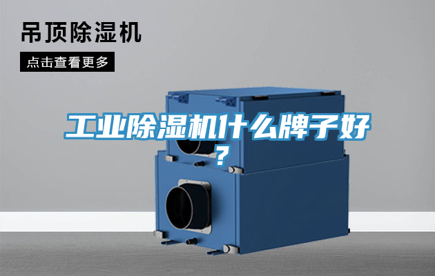 工業(yè)除濕機(jī)什么牌子好？