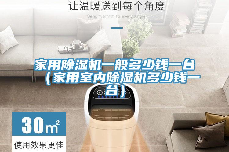 家用除濕機一般多少錢一臺（家用室內除濕機多少錢一臺）
