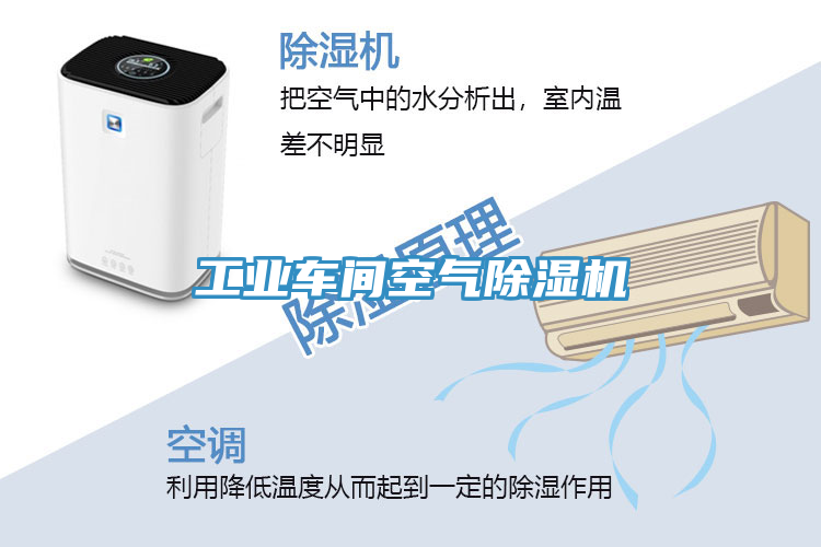 工業(yè)車間空氣除濕機(jī)