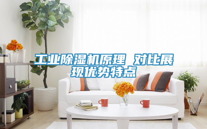 工業(yè)除濕機(jī)原理 對(duì)比展現(xiàn)優(yōu)勢(shì)特點(diǎn)