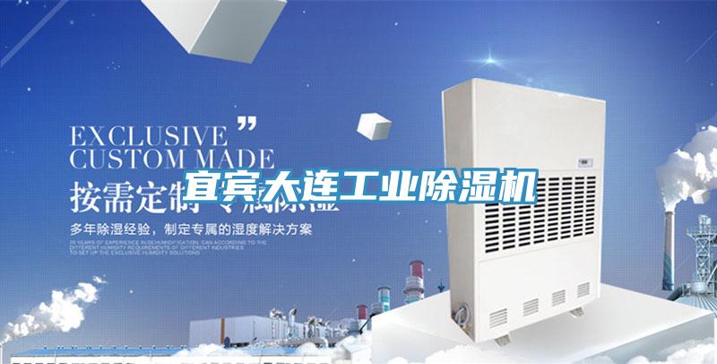 宜賓大連工業(yè)除濕機