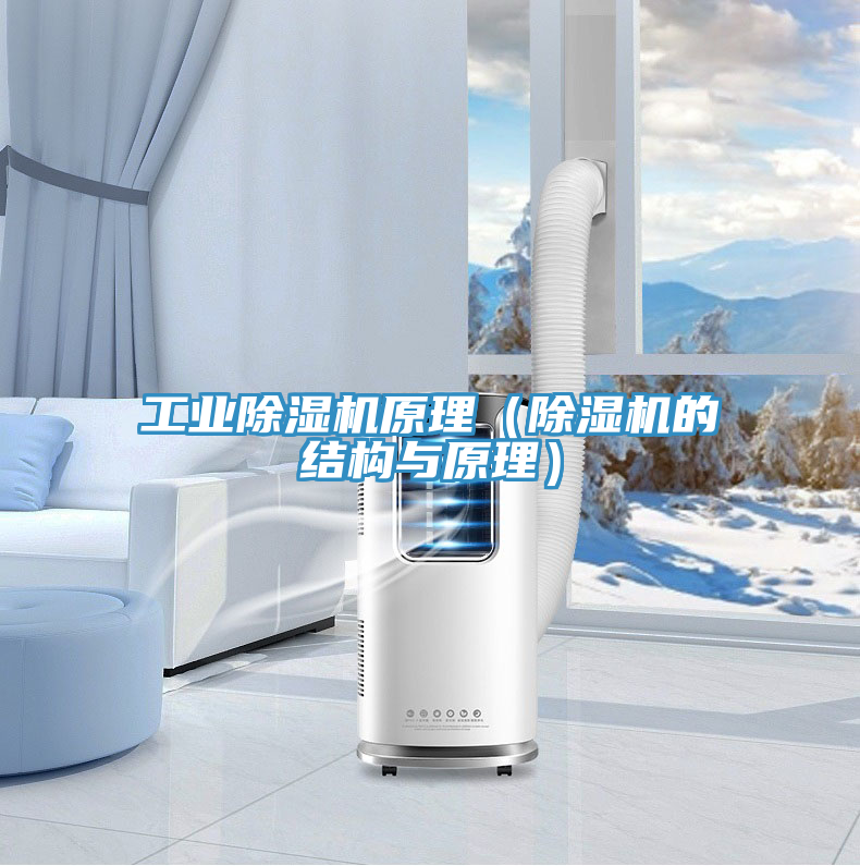工業(yè)除濕機(jī)原理（除濕機(jī)的結(jié)構(gòu)與原理）