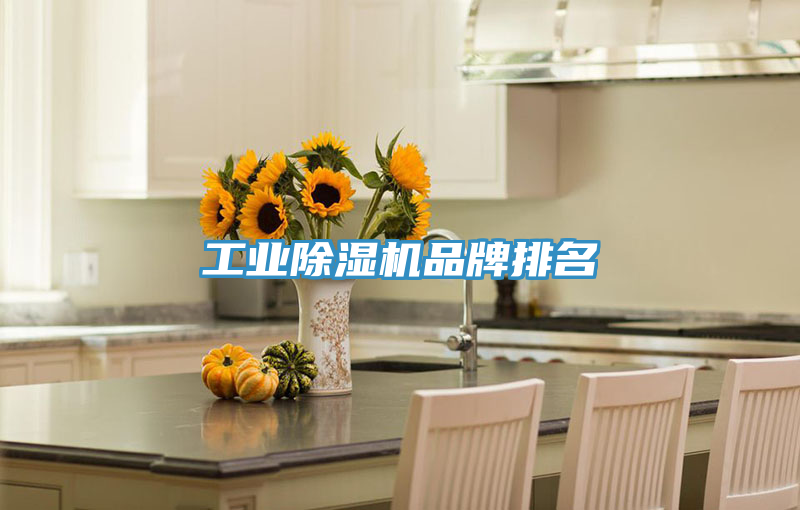 工業(yè)除濕機品牌排名