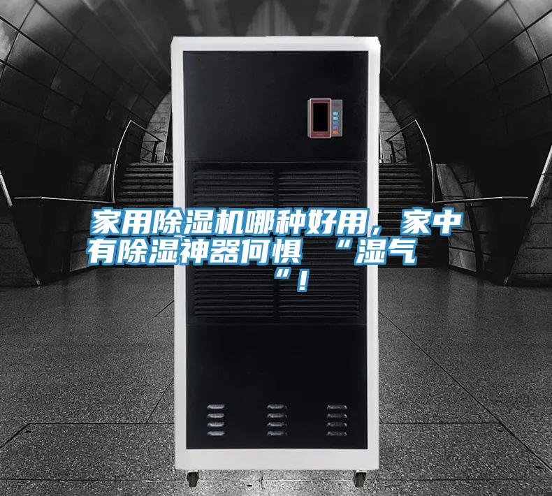 家用除濕機哪種好用，家中有除濕神器何懼 “濕氣 “！