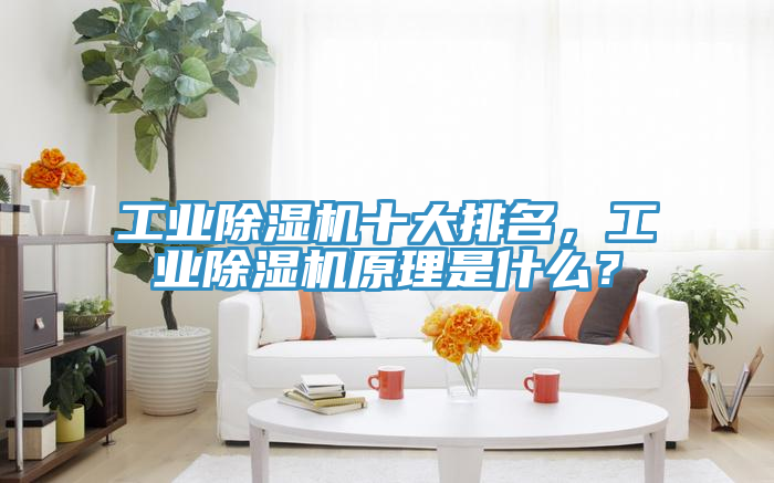 工業(yè)除濕機(jī)十大排名，工業(yè)除濕機(jī)原理是什么？
