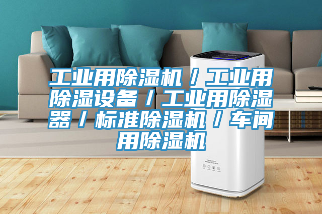 工業用除濕機／工業用除濕設備／工業用除濕器／標準除濕機／車間用除濕機