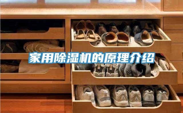 家用除濕機的原理介紹