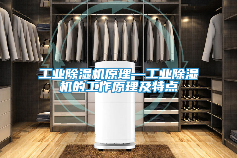 工業(yè)除濕機(jī)原理—工業(yè)除濕機(jī)的工作原理及特點(diǎn)