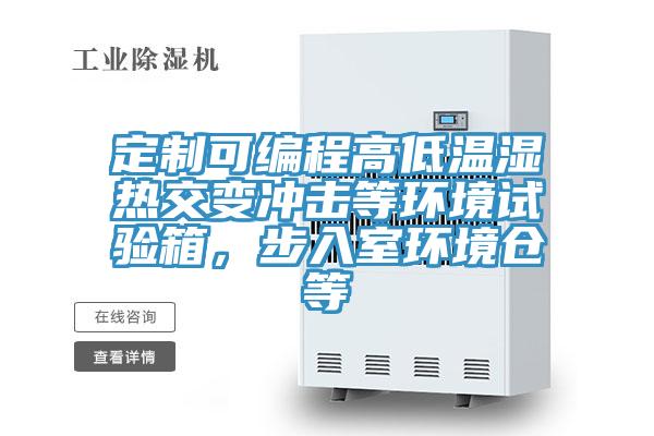 定制可編程高低溫濕熱交變沖擊等環(huán)境試驗(yàn)箱，步入室環(huán)境倉(cāng)等