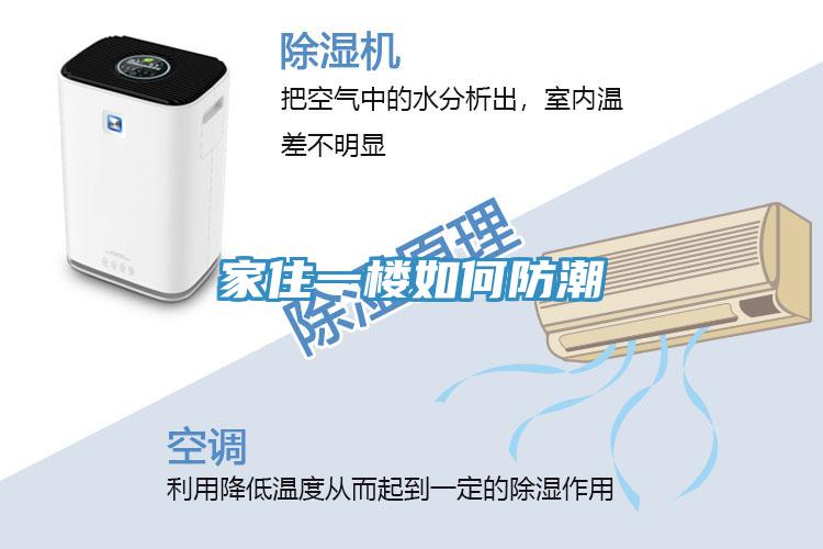 家住一樓如何防潮