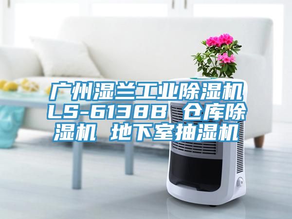 廣州濕蘭工業除濕機LS-6138B 倉庫除濕機 地下室抽濕機