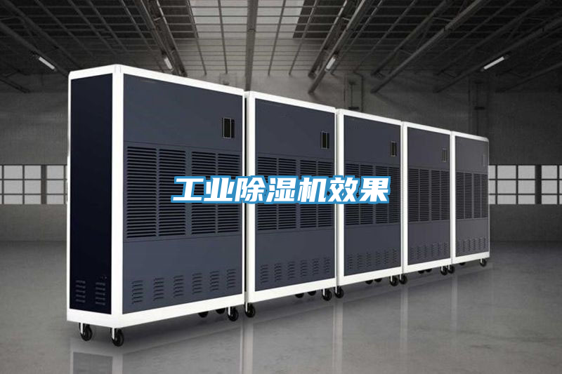 工業(yè)除濕機(jī)效果