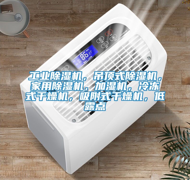工業(yè)除濕機，吊頂式除濕機，家用除濕機，加濕機，冷凍式干燥機，吸附式干燥機，低露點