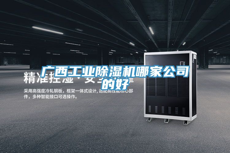 廣西工業除濕機哪家公司的好