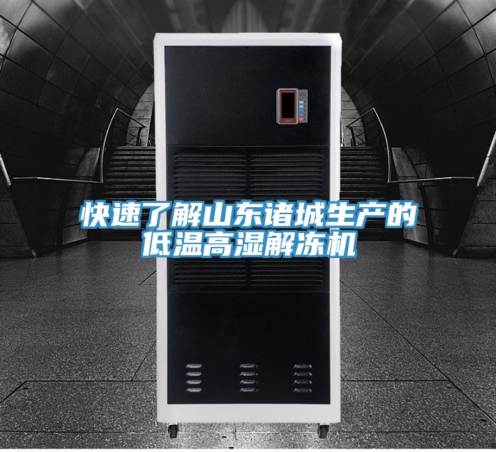 快速了解山東諸城生產的低溫高濕解凍機