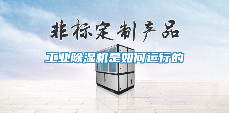 工業(yè)除濕機(jī)是如何運(yùn)行的