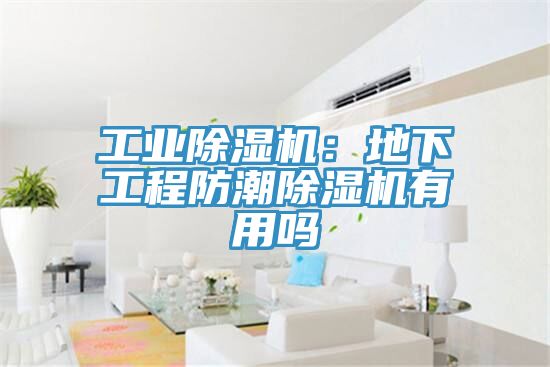 工業(yè)除濕機(jī)：地下工程防潮除濕機(jī)有用嗎
