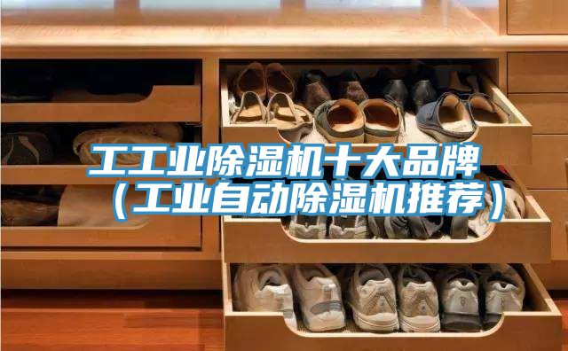 工工業除濕機十大品牌（工業自動除濕機推薦）