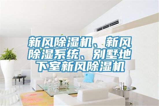新風除濕機、新風除濕系統、別墅地下室新風除濕機