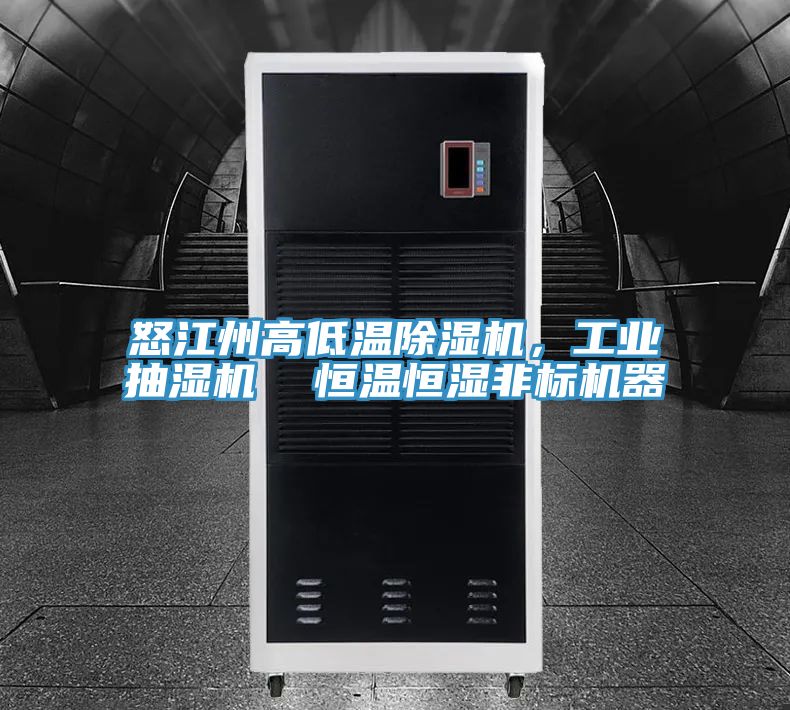 怒江州高低溫除濕機，工業抽濕機  恒溫恒濕非標機器